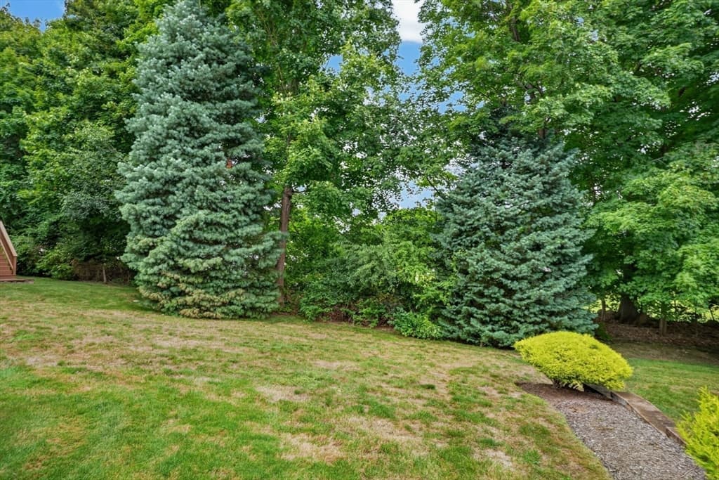 6 Haven Way # 6, Ashland MA 01721 photo 31