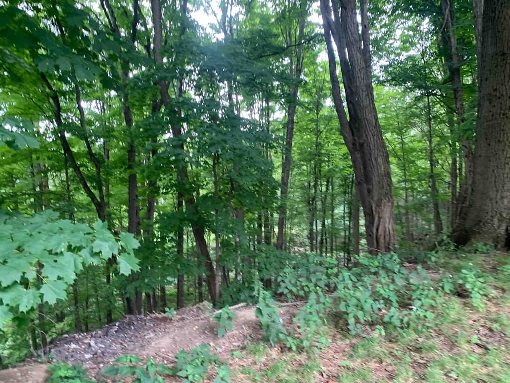 0 Chestnut Plain Rd (Ws), Whately MA 01093 photo 3