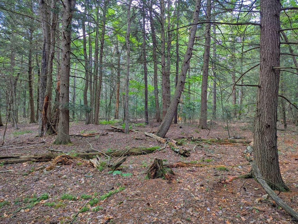 0 Hamilton Rd, Becket MA 01223 photo 6