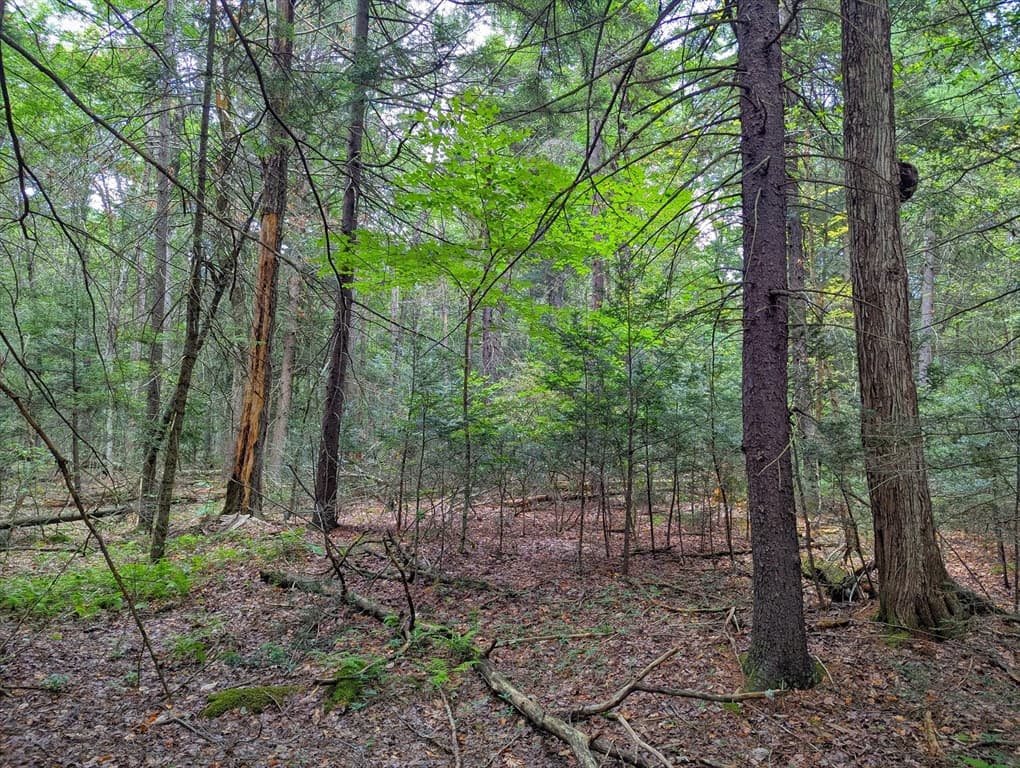 0 Hamilton Rd, Becket MA 01223 photo 8