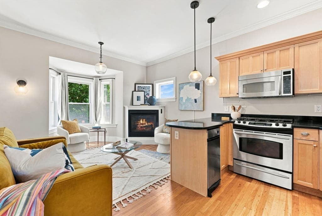 Condominium at 77 Old Harbor St # 3, Boston MA 02127, Boston, photo 3 of 31