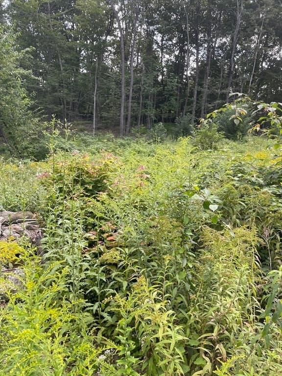 Residential at 208 Erickson Rd, Ashby MA 01431, Ashby, photo 5 of 7