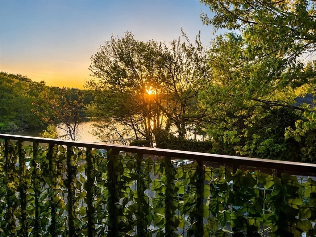 Condominium at 209 Riverview Ave # 7, Newton MA 02466, Newton, photo 3 of 19