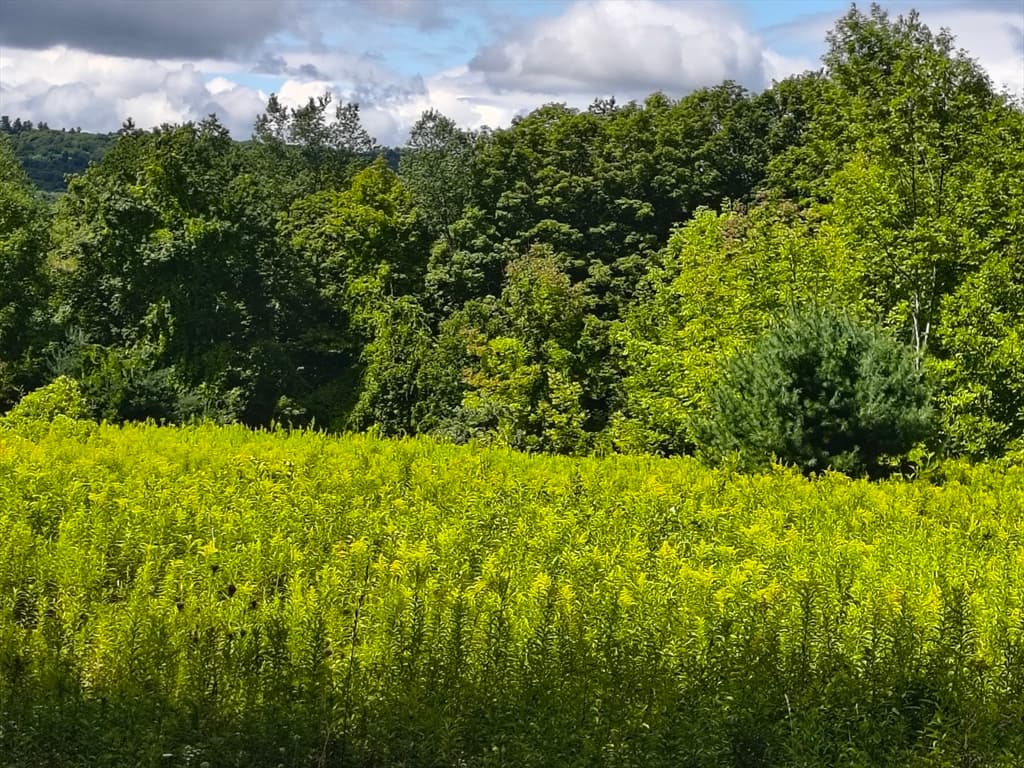 Residential at lot A/B Goss Hill, Huntington MA 01050, Huntington, photo 4 of 11
