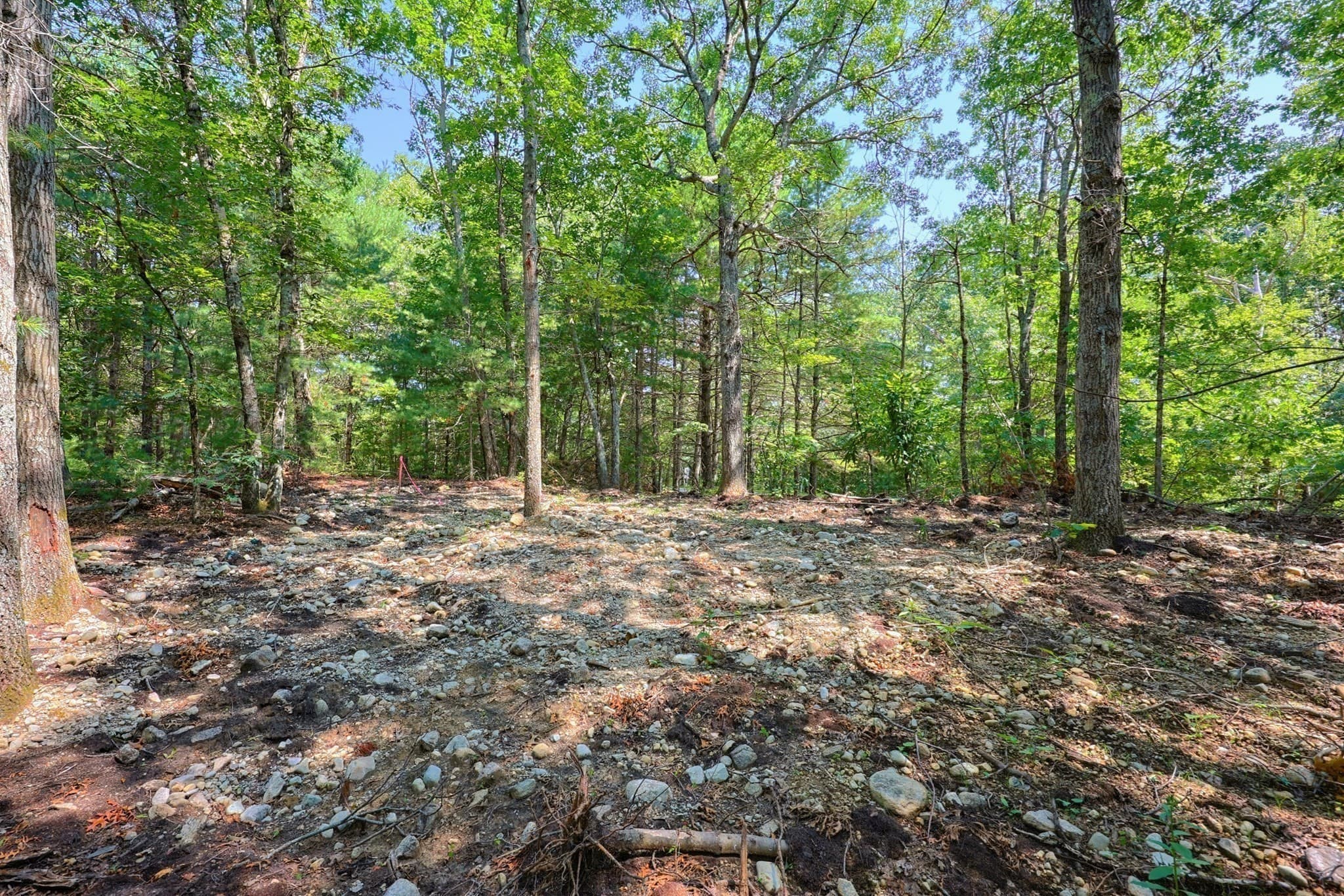 Residential at 4 East Street, Foxboro MA 02035, photo 13 of 17