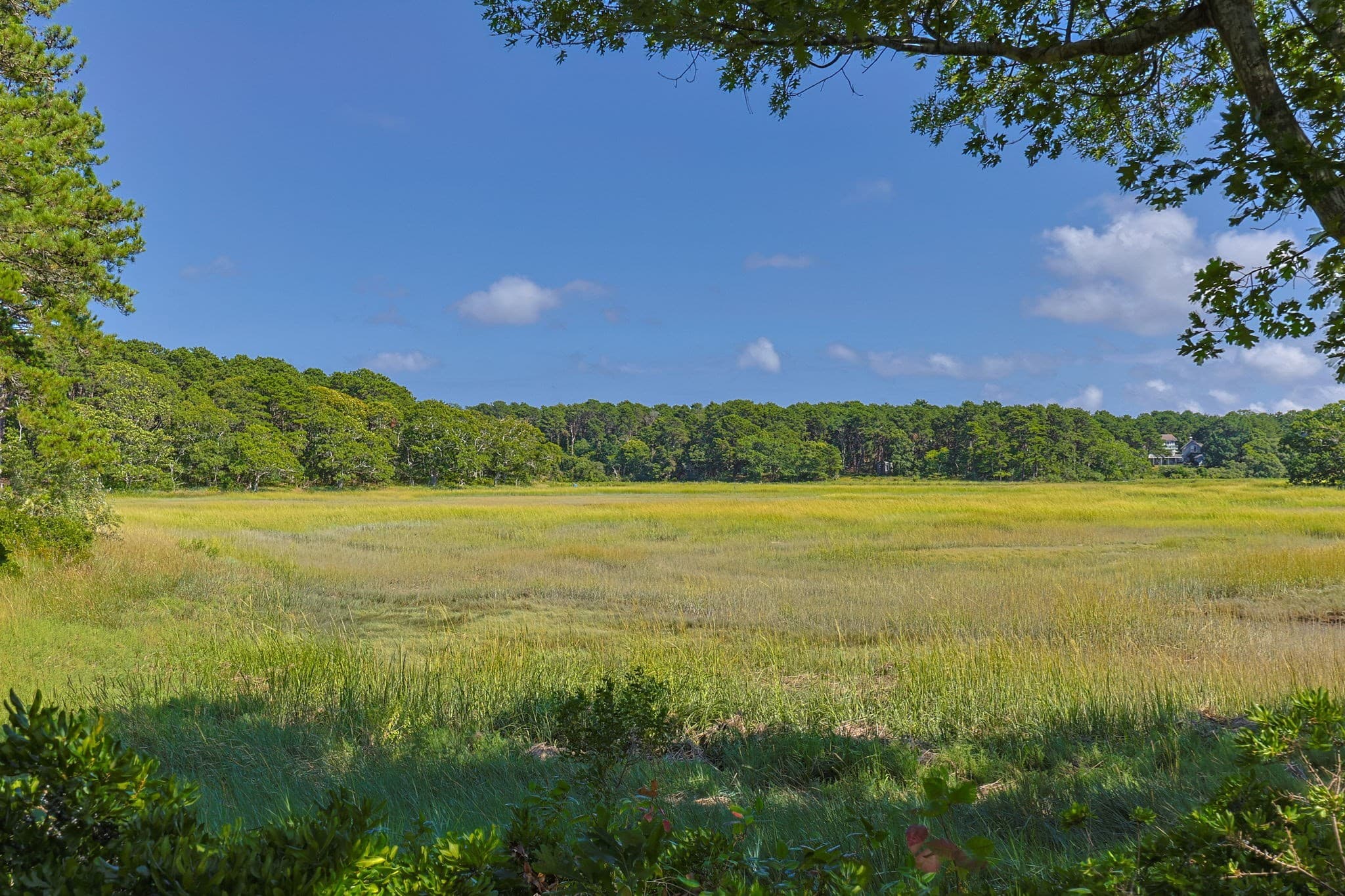 Single Family Residence at 56 Warren Road, Wellfleet MA 02667, photo 28 of 42