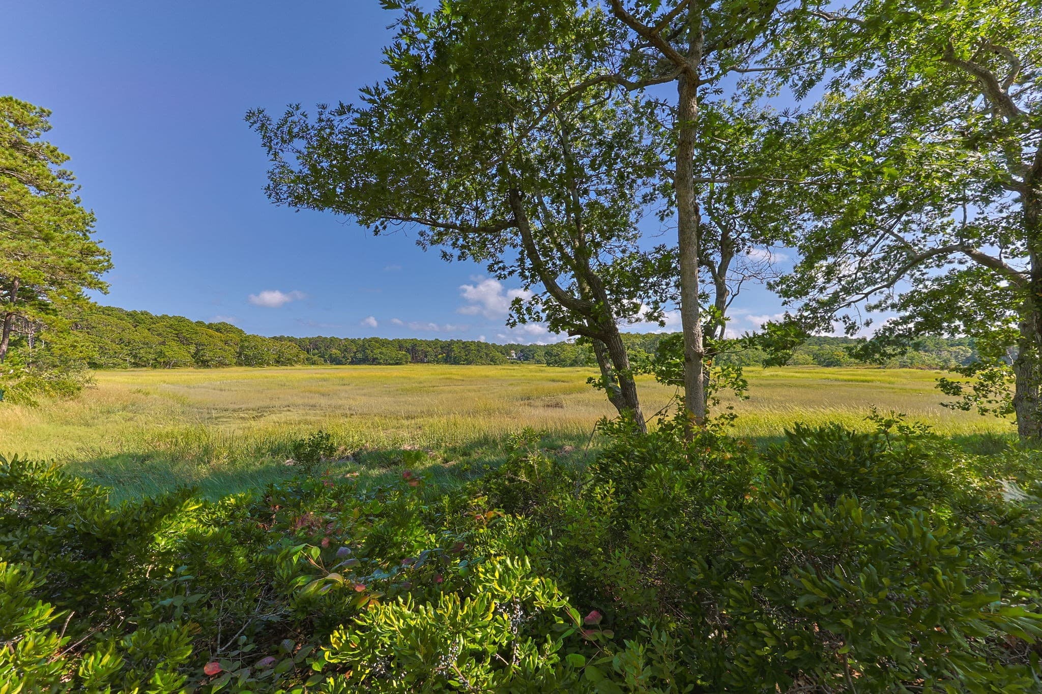 Single Family Residence at 56 Warren Road, Wellfleet MA 02667, photo 29 of 42