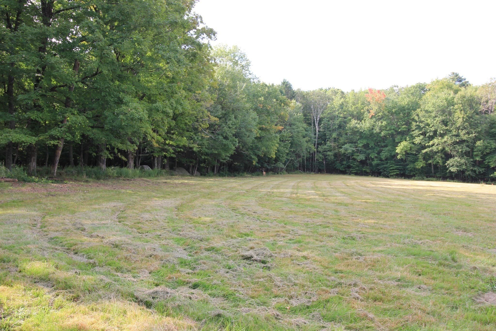Farm at 88 Ames Rd, Hampden MA 01036, Hampden, photo 36 of 42
