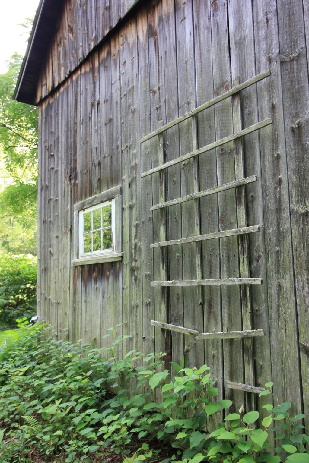 Farm at 88 Ames Rd, Hampden MA 01036, Hampden, photo 34 of 42
