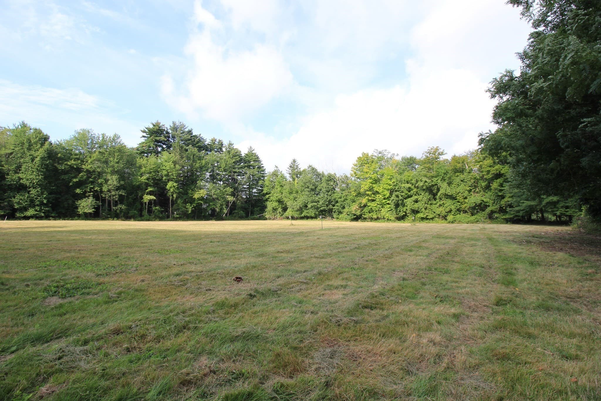 Farm at 88 Ames Rd, Hampden MA 01036, Hampden, photo 35 of 42