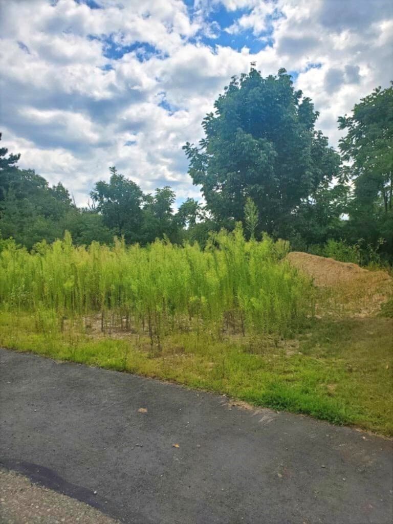 Residential at 7 Mount View Way, Franklin MA 02038, Franklin, photo 5 of 5