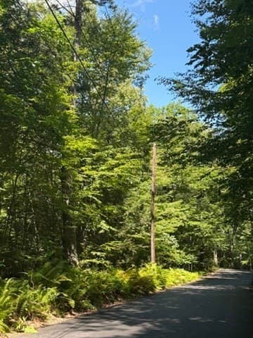 Residential at 0 Laurel Lake Rd, Royalston MA 01368, photo 6 of 9