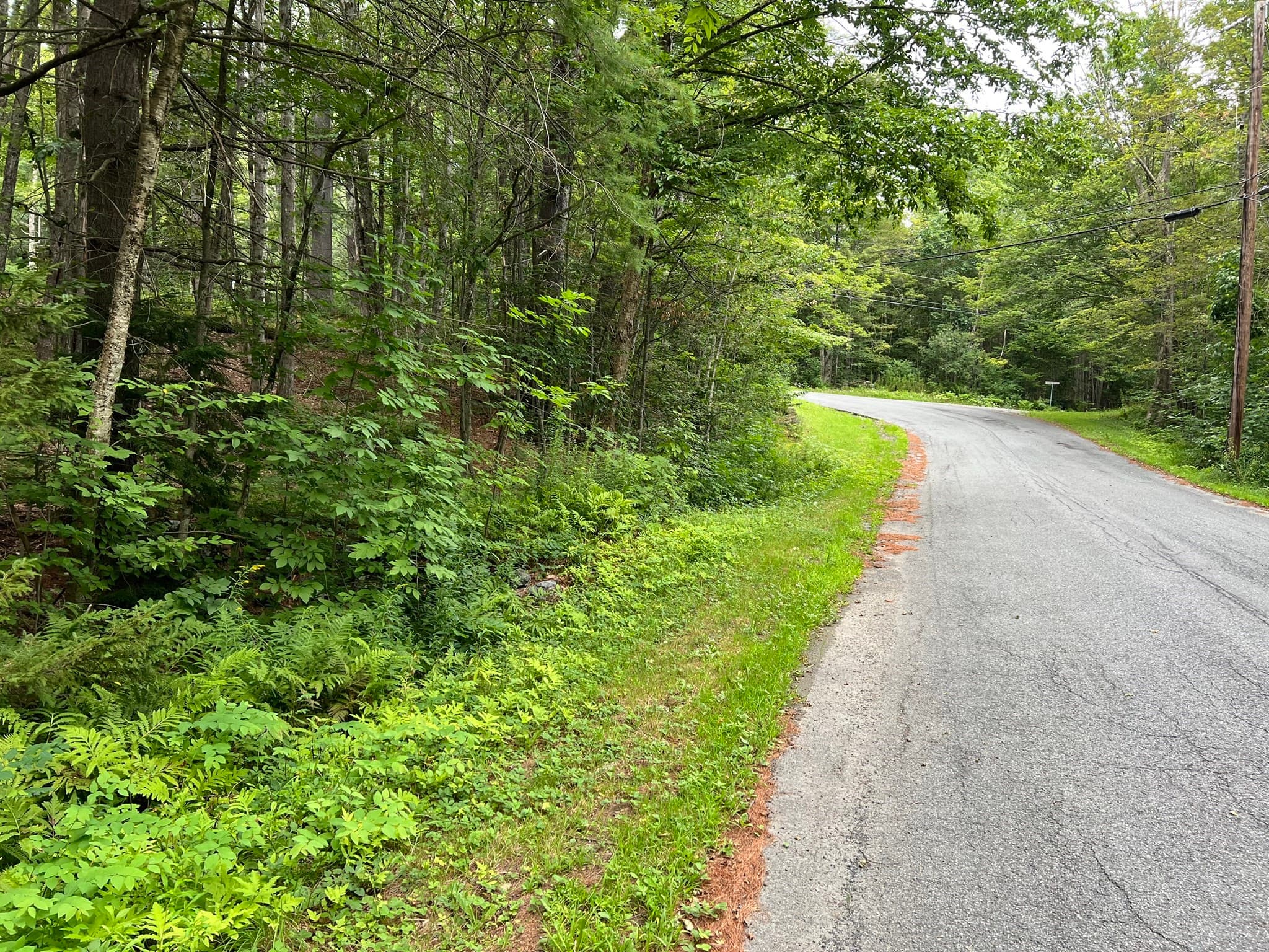 Lot 134 Shaw Rd, Windsor MA 01270