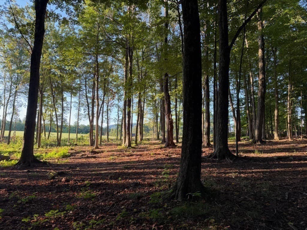 Residential at 86 W Princeton Road, Westminster MA 01473, photo 7 of 19
