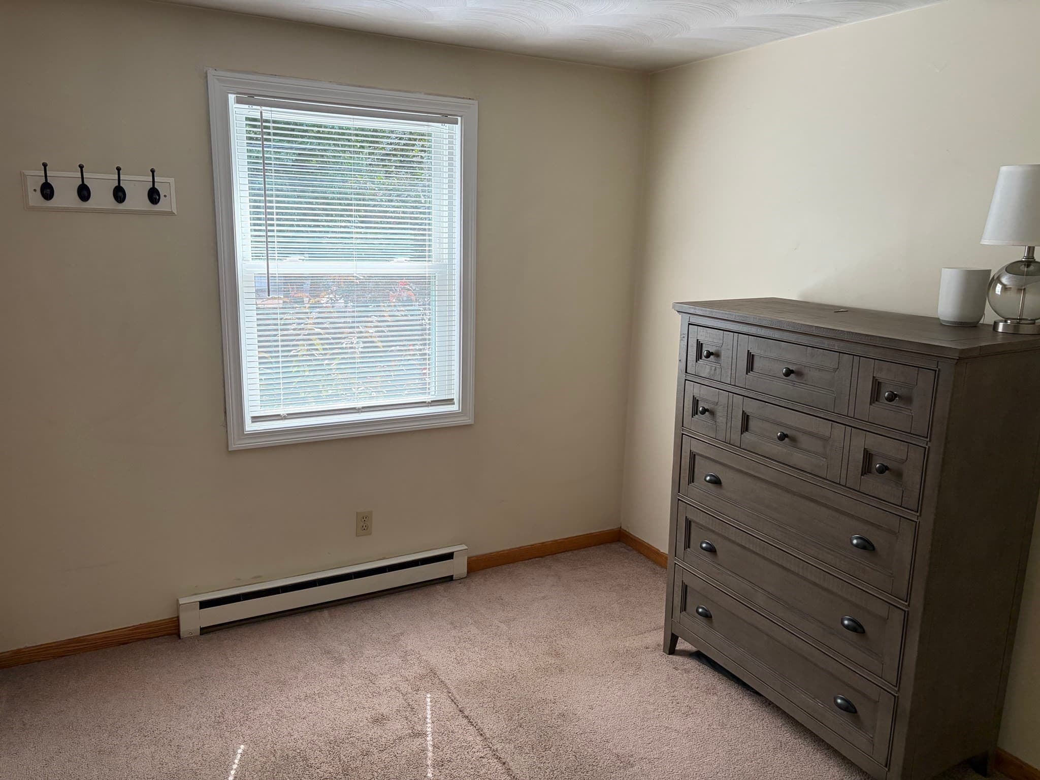 Single Family Residence at 370 Forest Street, Dighton MA 02764, Dighton, photo 21 of 37