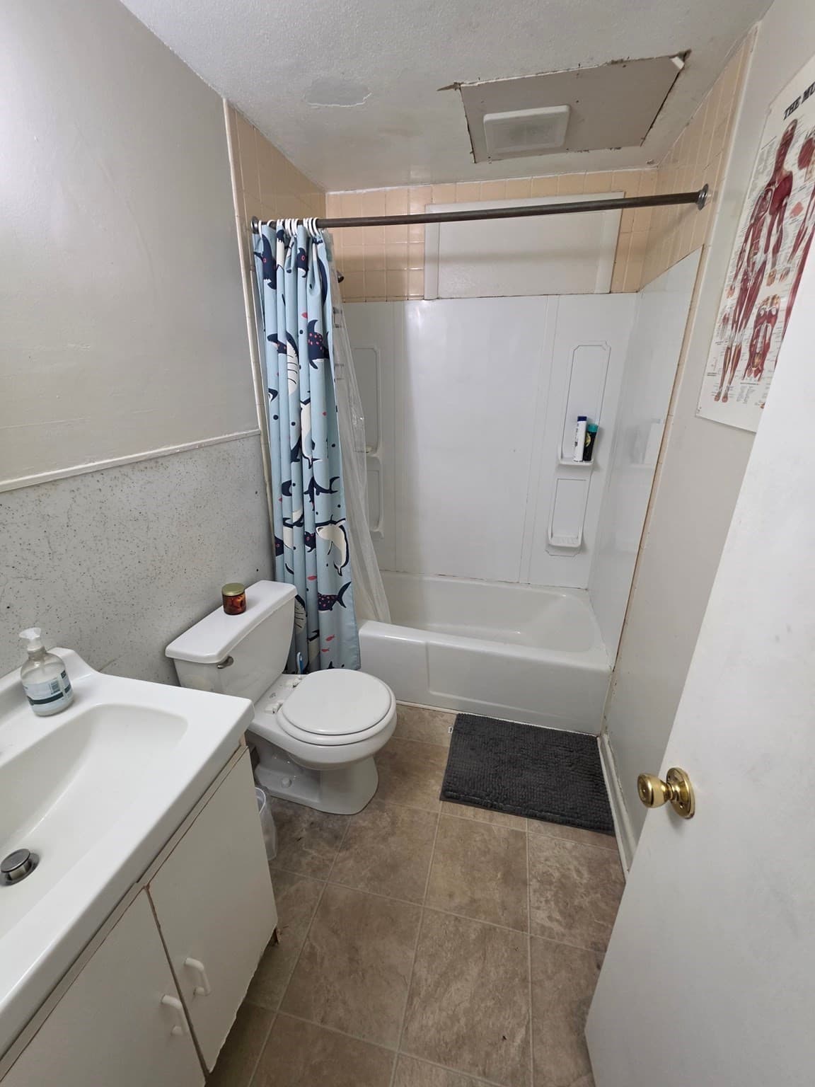 3 Family at 265 N East St, Amherst MA 01002, Amherst, photo 21 of 28