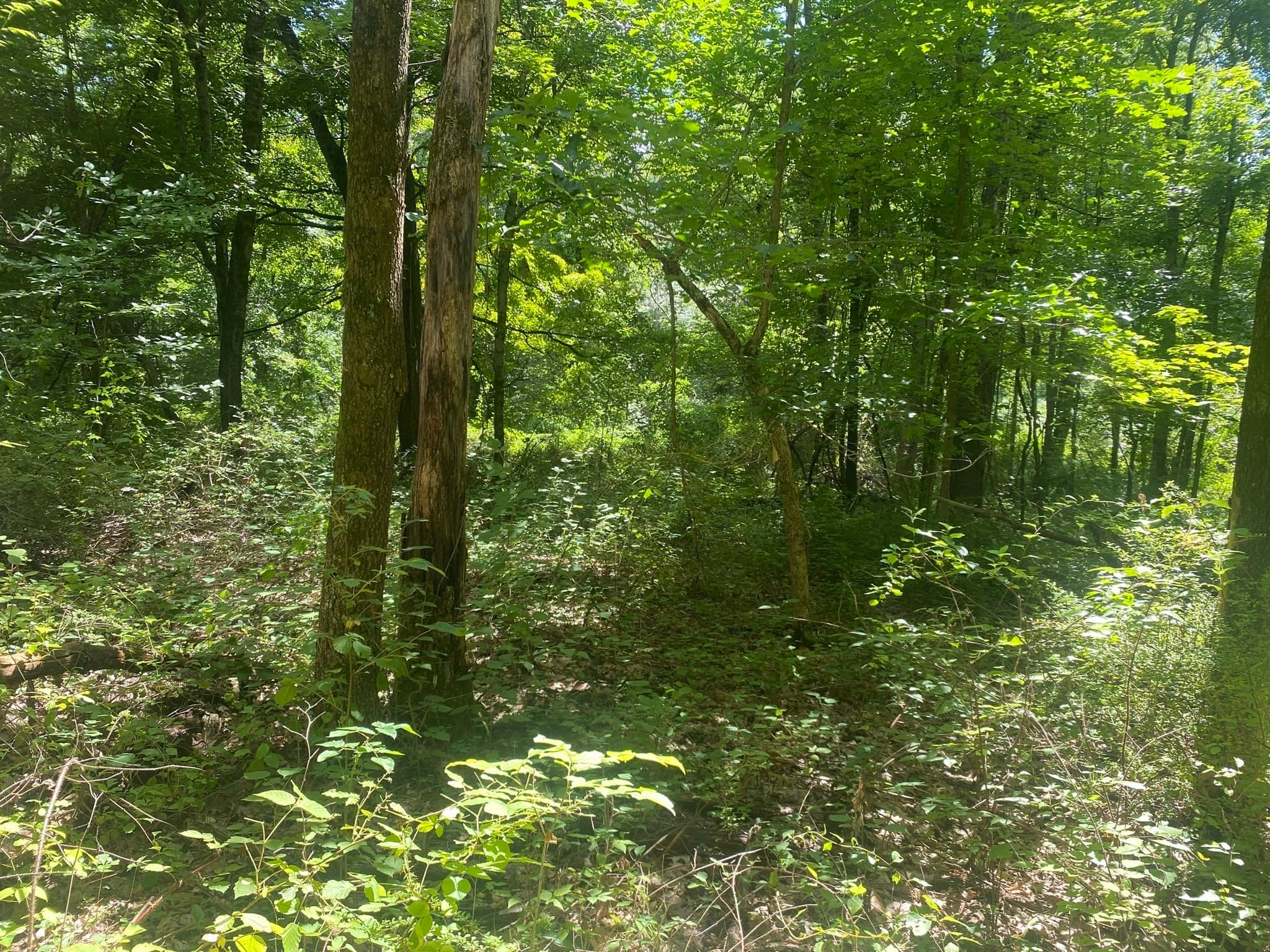 Residential at Lot 23 South Rd, Hampden MA 01036, photo 4 of 6