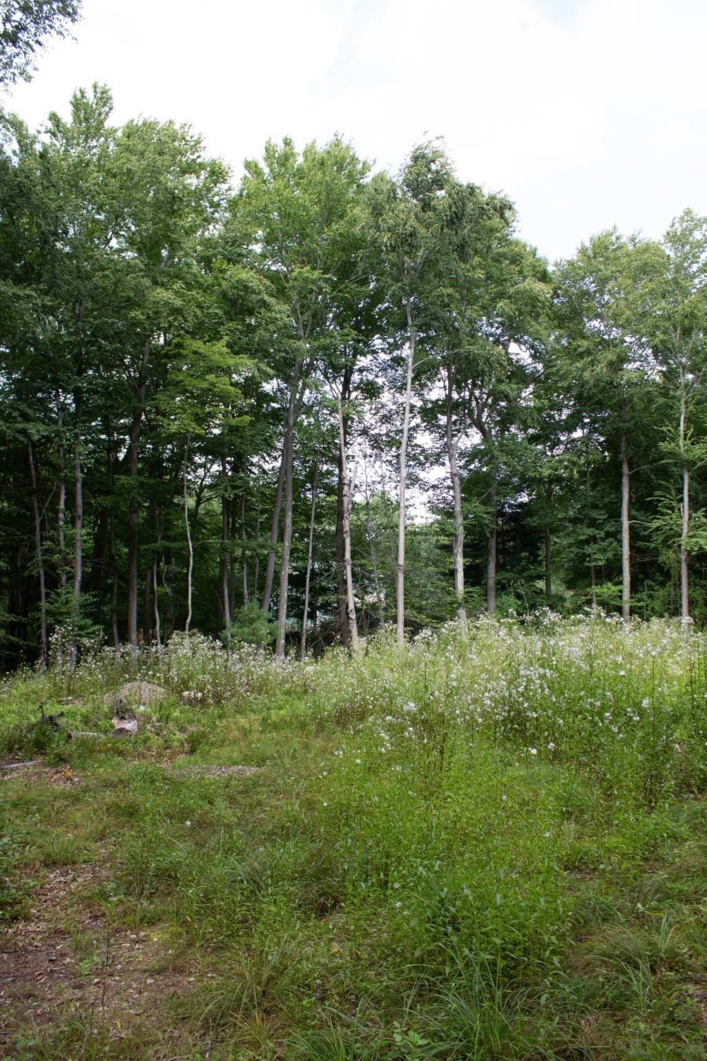 Residential at 184 Bayview Ave, Berkley MA 02779, photo 7 of 9