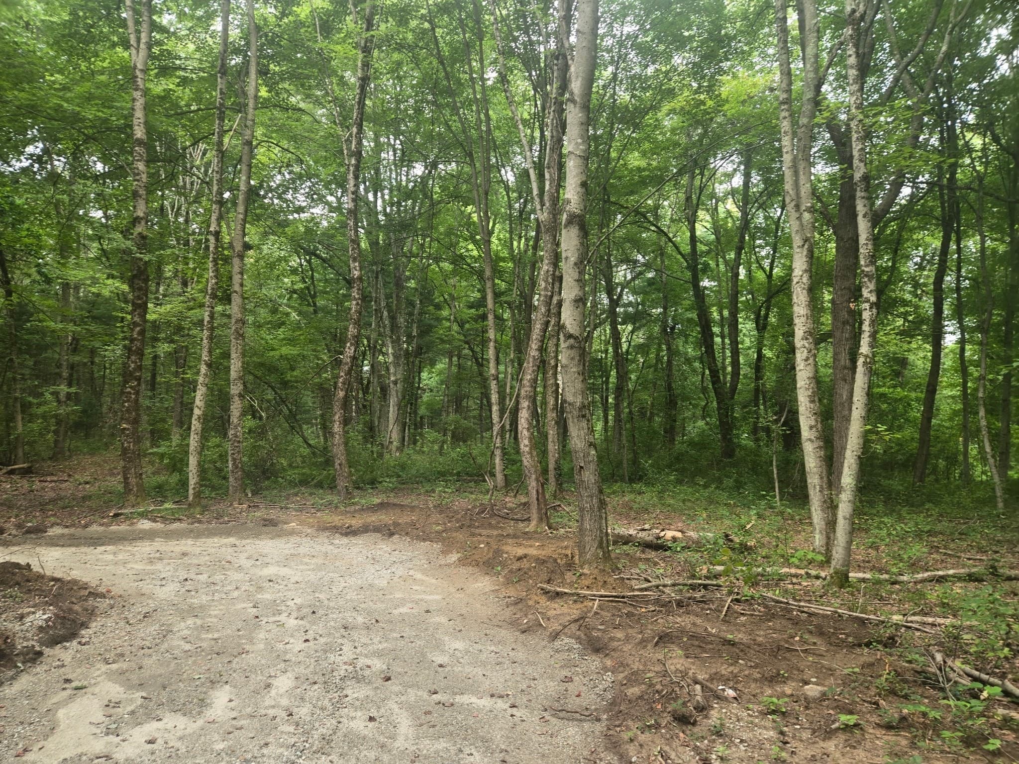 Agriculture at 43 Bates Street (Rear), Mendon MA 01756, photo 6 of 8