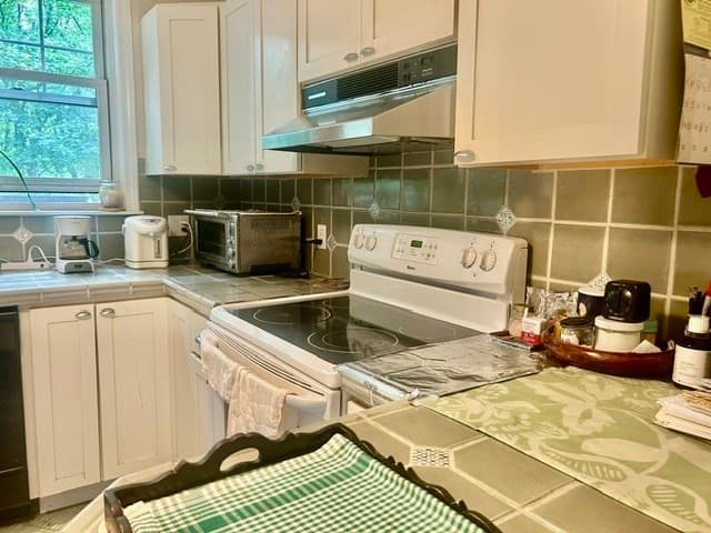 Condominium at 115 Freeman St # 1, Brookline MA 02446, Brookline, photo 7 of 14
