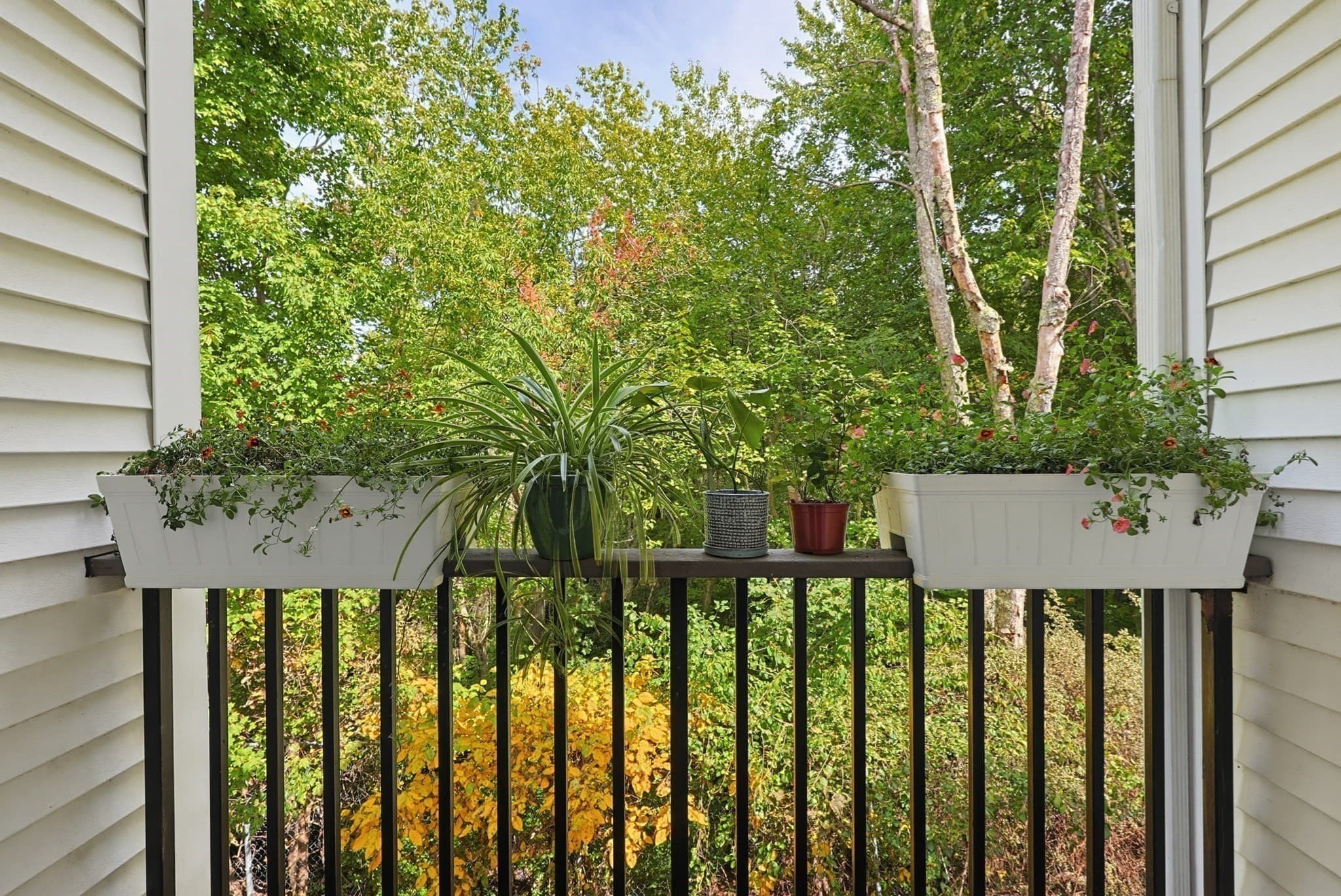Condominium at 117 Tall Oaks Dr # G, Weymouth MA 02190, Weymouth, photo 15 of 27