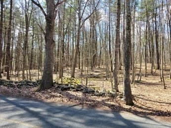 Agriculture at Lot 2 Daniels Road, Charlton MA 01507, Charlton, photo 3 of 5