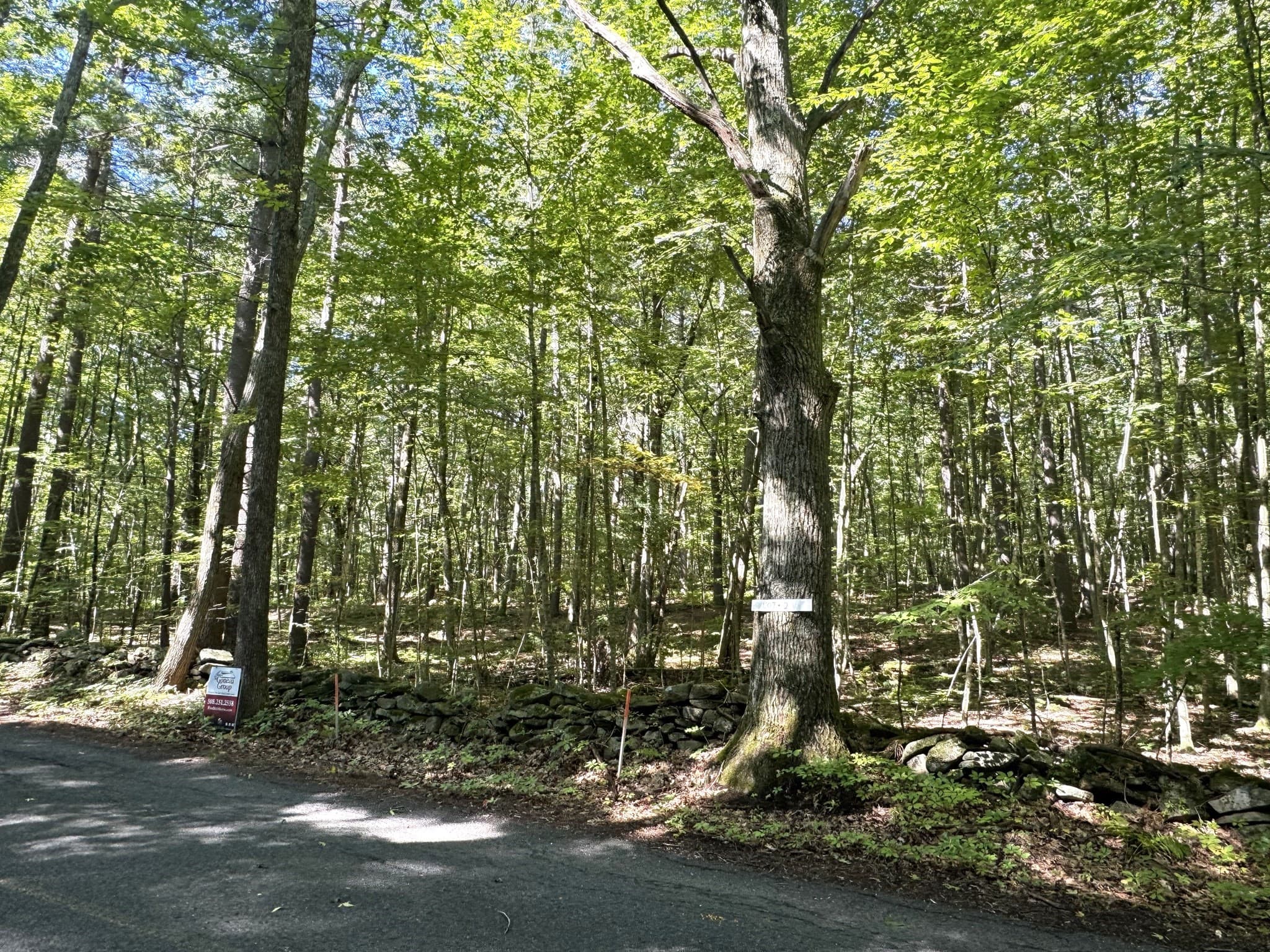 Agriculture at Lot 2 Daniels Road, Charlton MA 01507, Charlton, photo 4 of 5