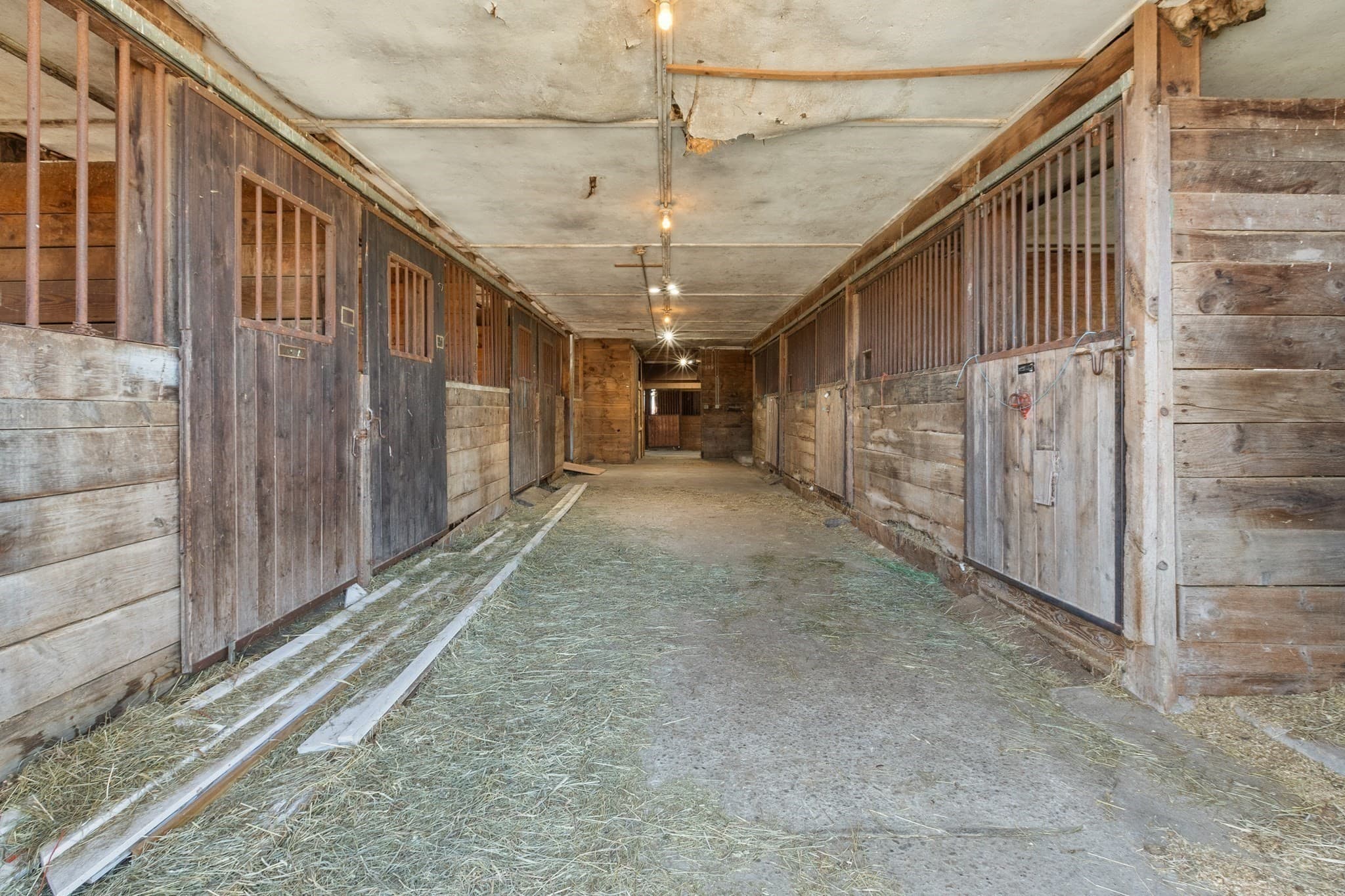Equestrian at 87 S Hampton Rd, Amesbury MA 01913, Amesbury, photo 29 of 42