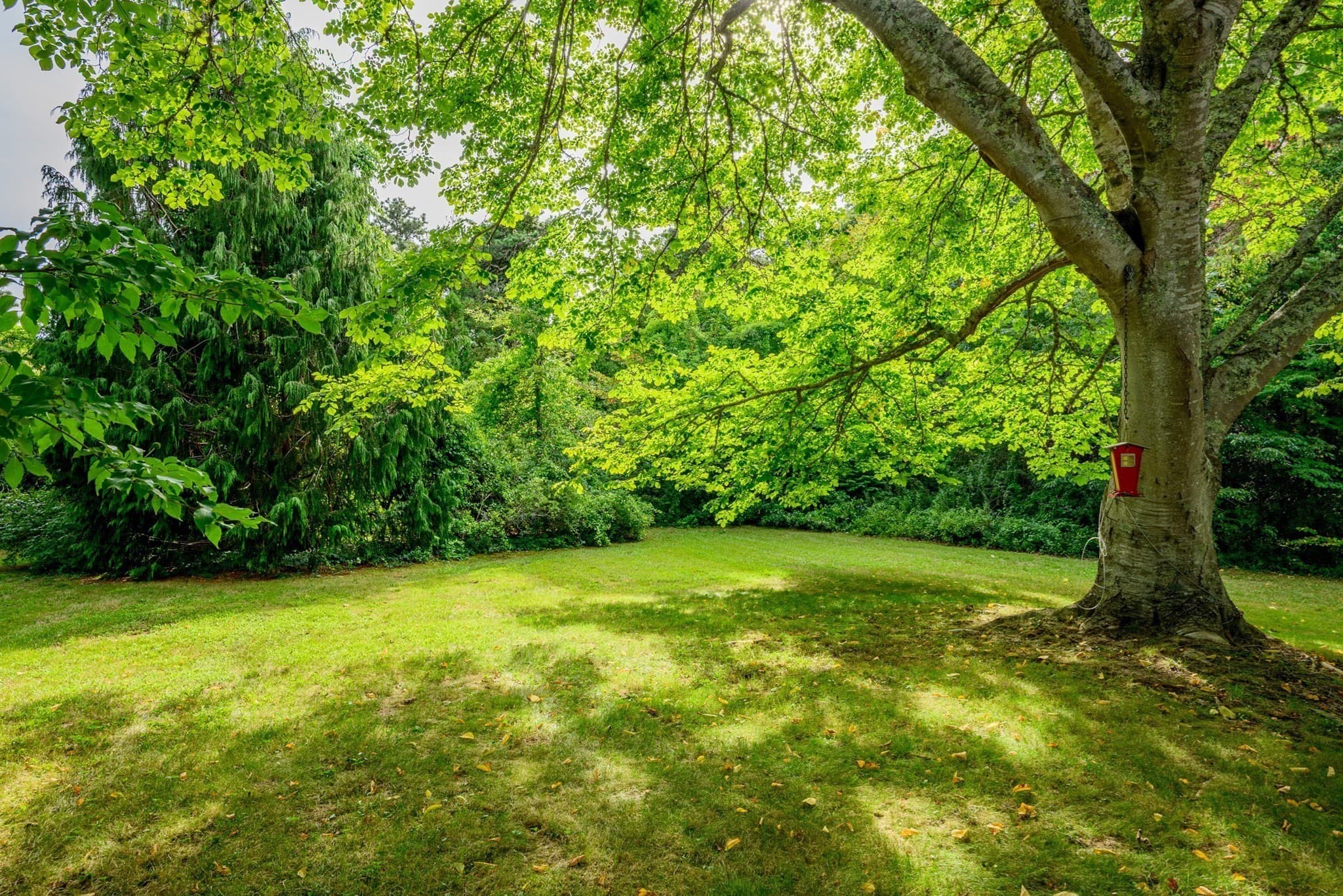 Single Family Residence at 204 Waquoit Hwy, Falmouth MA 02536, Falmouth, photo 24 of 34