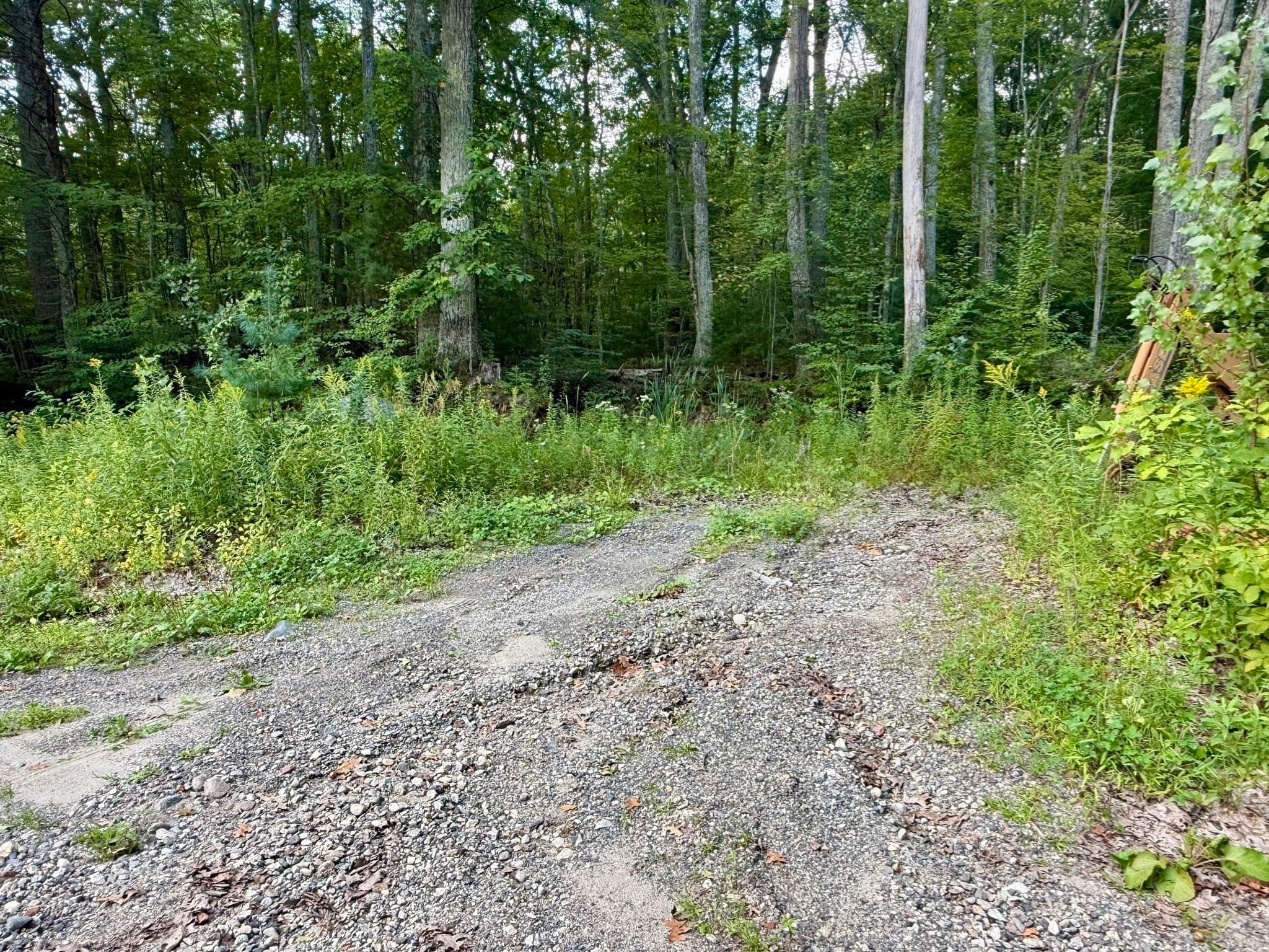 Residential at 0 Old Poor Farm Rd, Ware MA 01082, Ware, photo 7 of 10