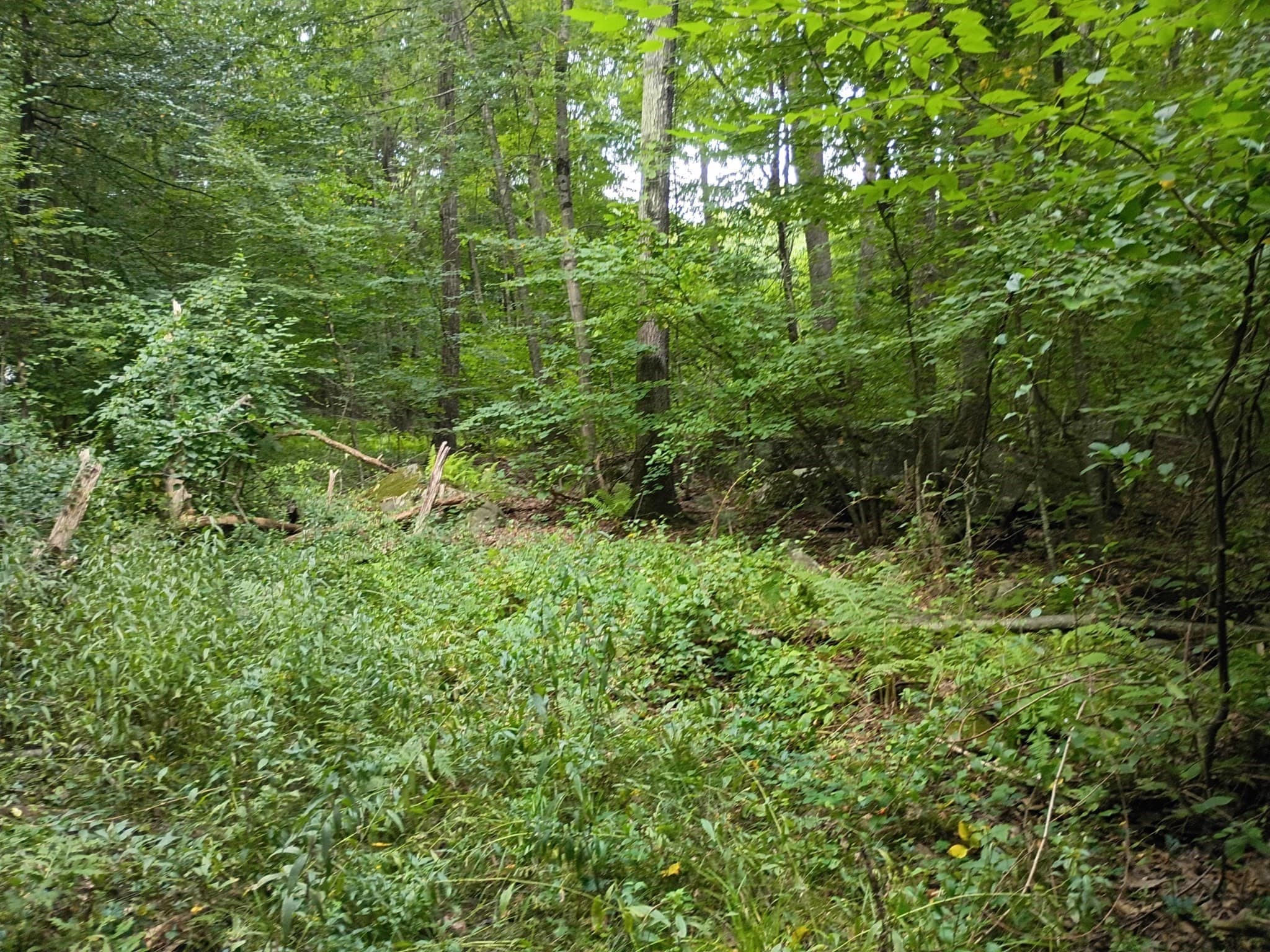 Residential at 522 Chestnut Hill, Millville MA 01529, Millville, photo 19 of 23