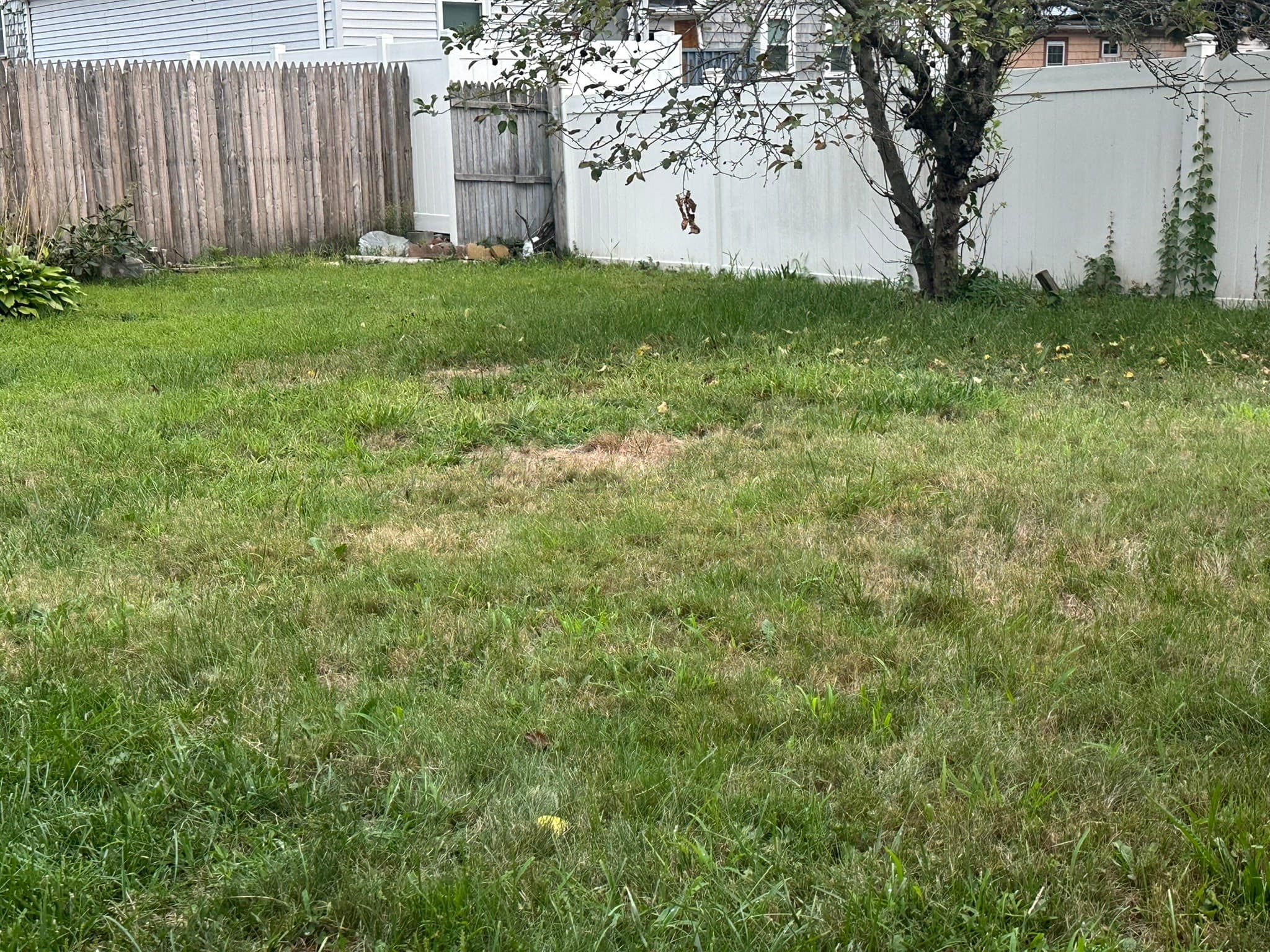 Single Family Residence at 10 Milton Ter, Randolph MA 02368, photo 33 of 34