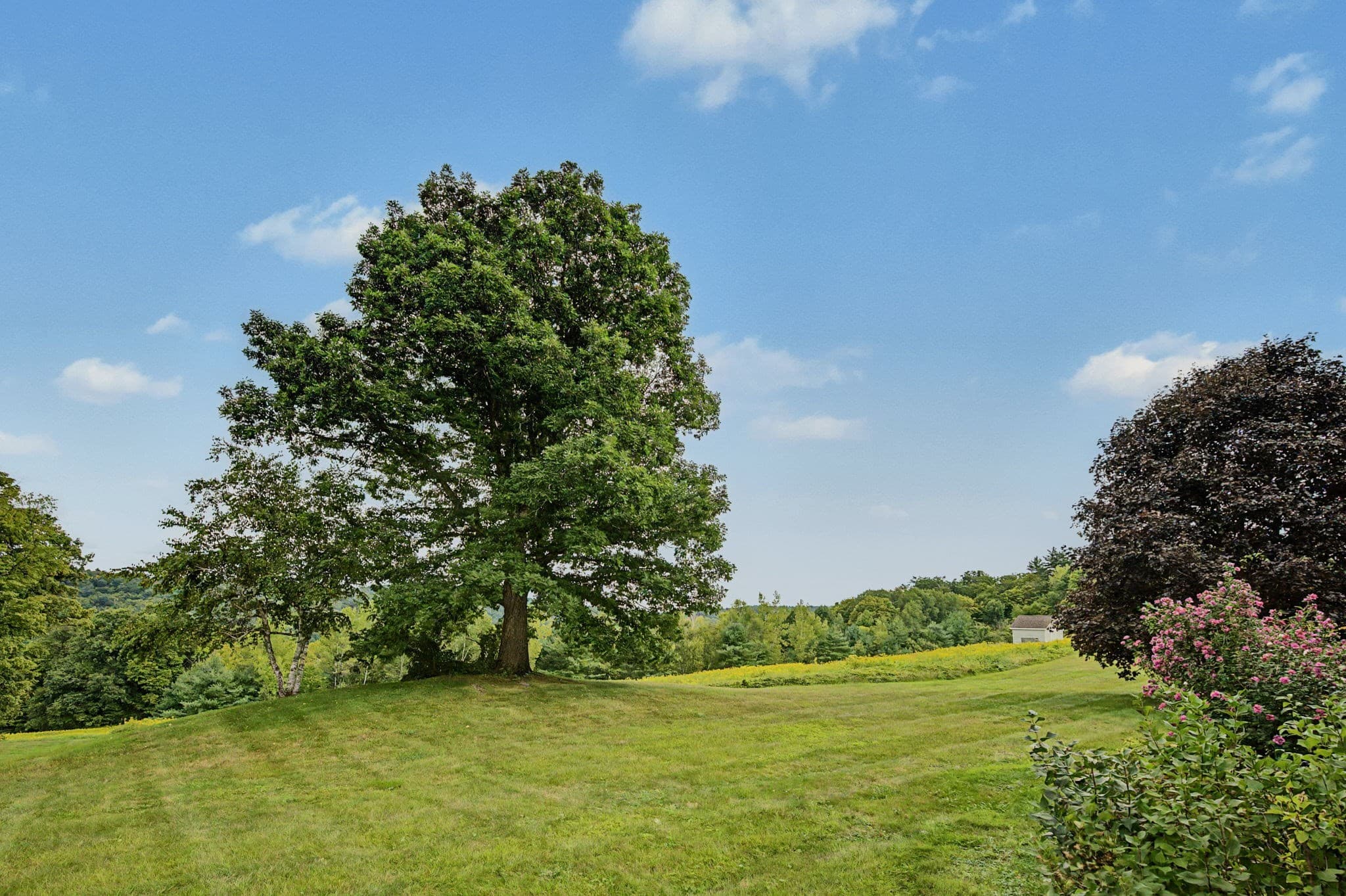 Condominium at 51 Dragon Hill Road # 51, Shelburne MA 01370, Shelburne, photo 33 of 42