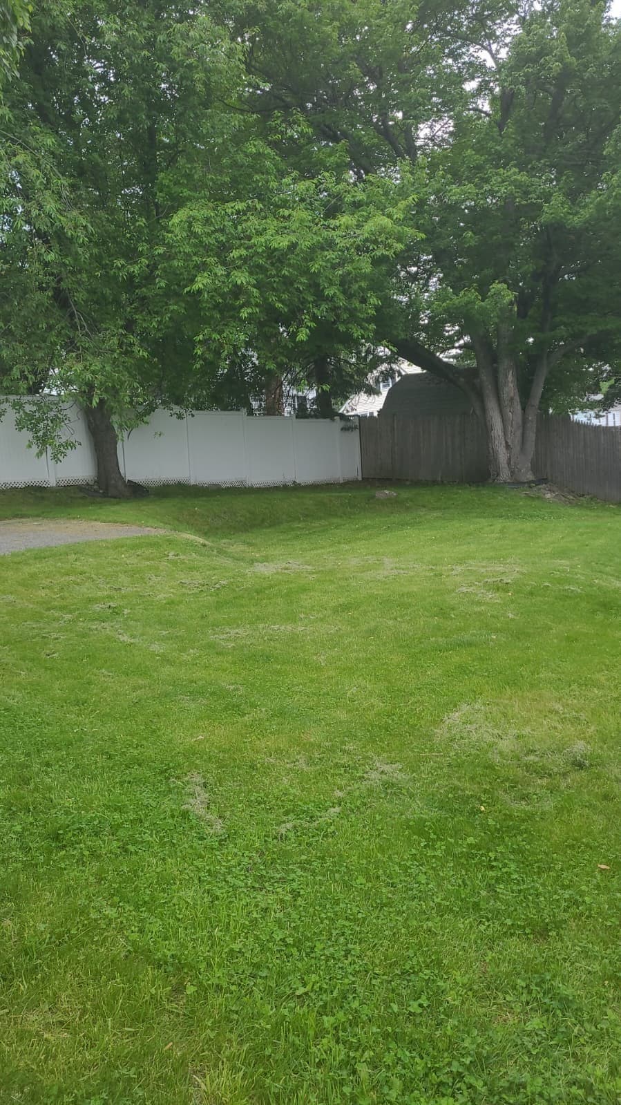 Single Family Residence at 39 Westport Rd, Worcester MA 01605, Worcester, photo 33 of 40