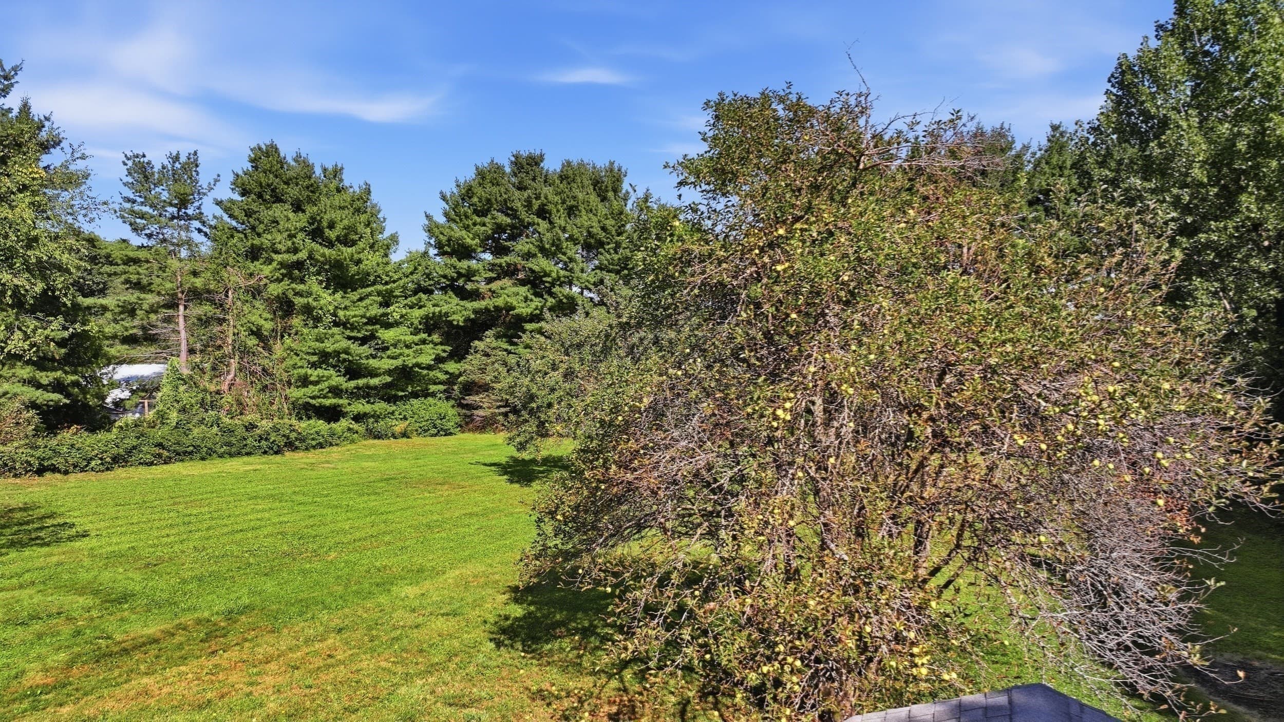 Single Family Residence at 2 Apple Tree Dr, Millbury MA 01527, Millbury, photo 25 of 31