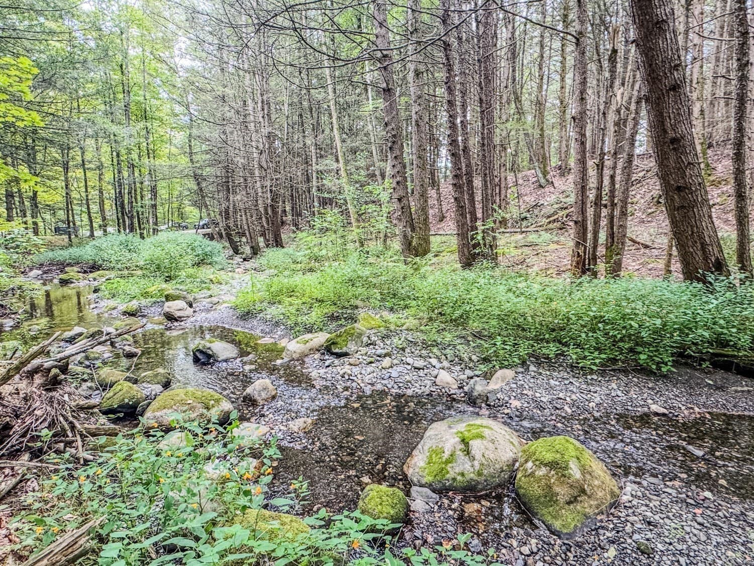 Single Family Residence at 24 Haigis Road, Bernardston MA 01337, photo 35 of 42