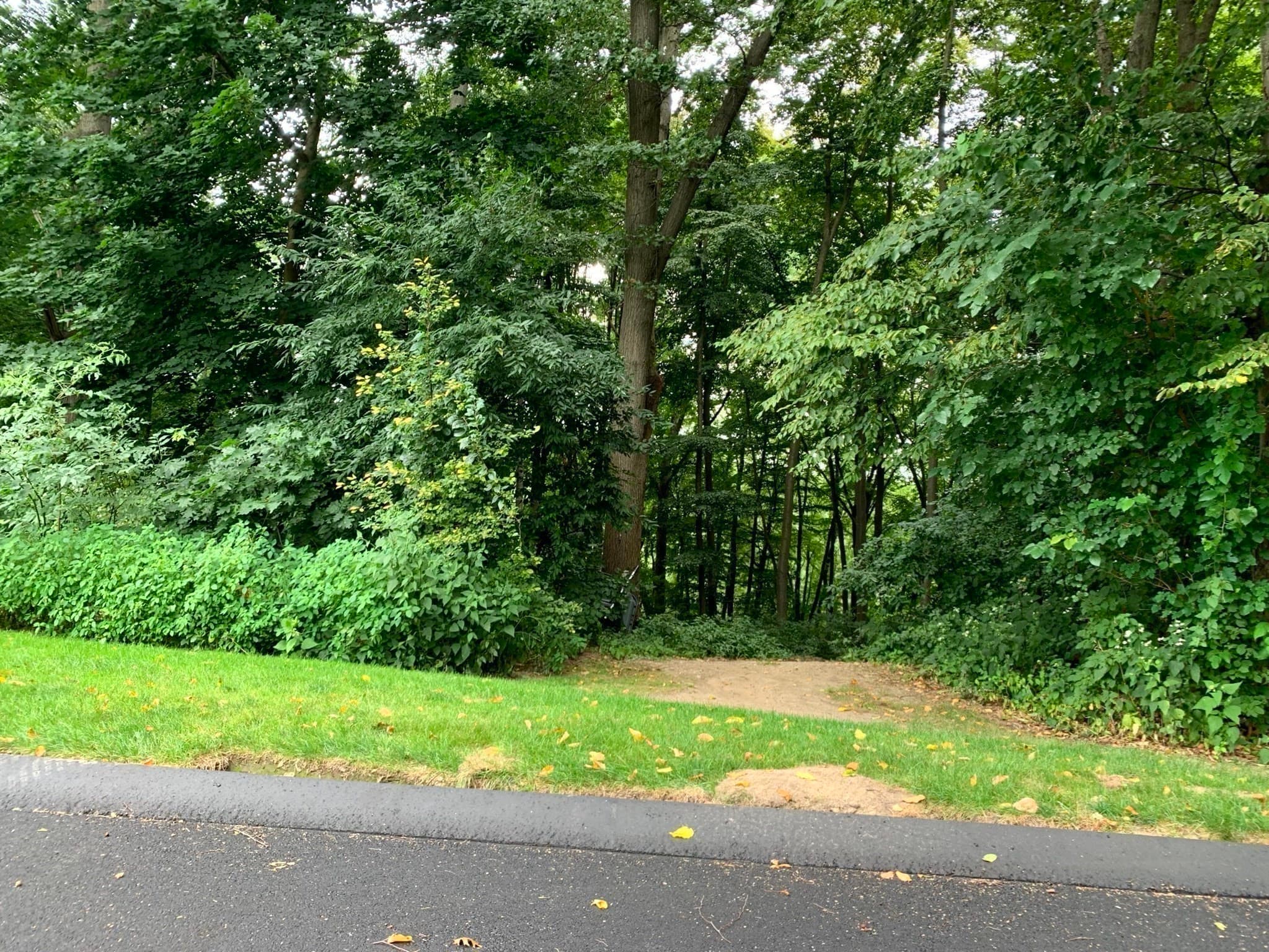 Condominium at 283 Fuller Rd # T, Chicopee MA 01020, Chicopee, photo 17 of 35