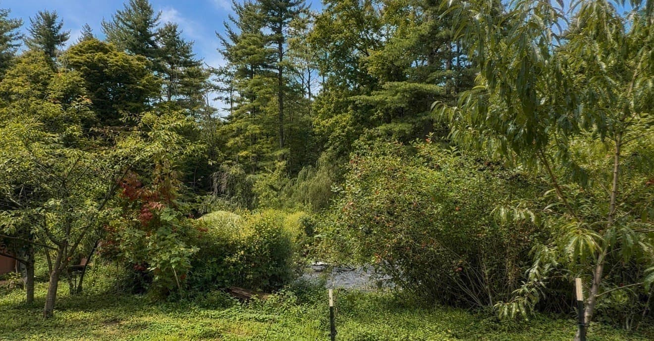 Single Family Residence at 347 Kinne Brook Rd, Worthington MA 01098, Worthington, photo 38 of 39