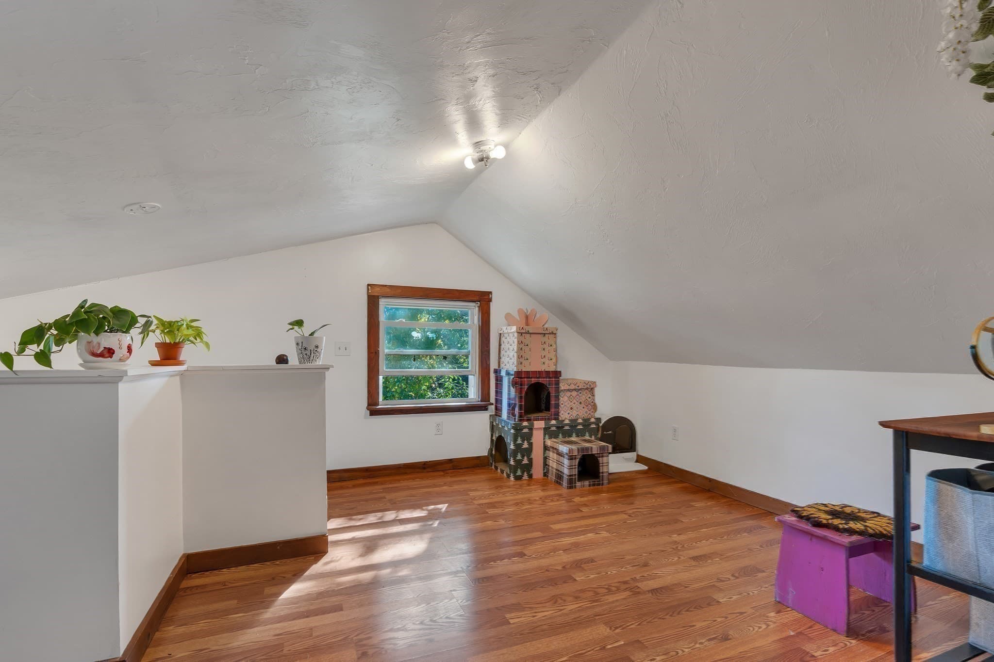 Single Family Residence at 12 South Street, Leicester MA 01611, Leicester, photo 24 of 34