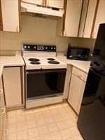 Condominium at 44 Elm St # 106, Worcester MA 01609, Worcester, photo 4 of 13