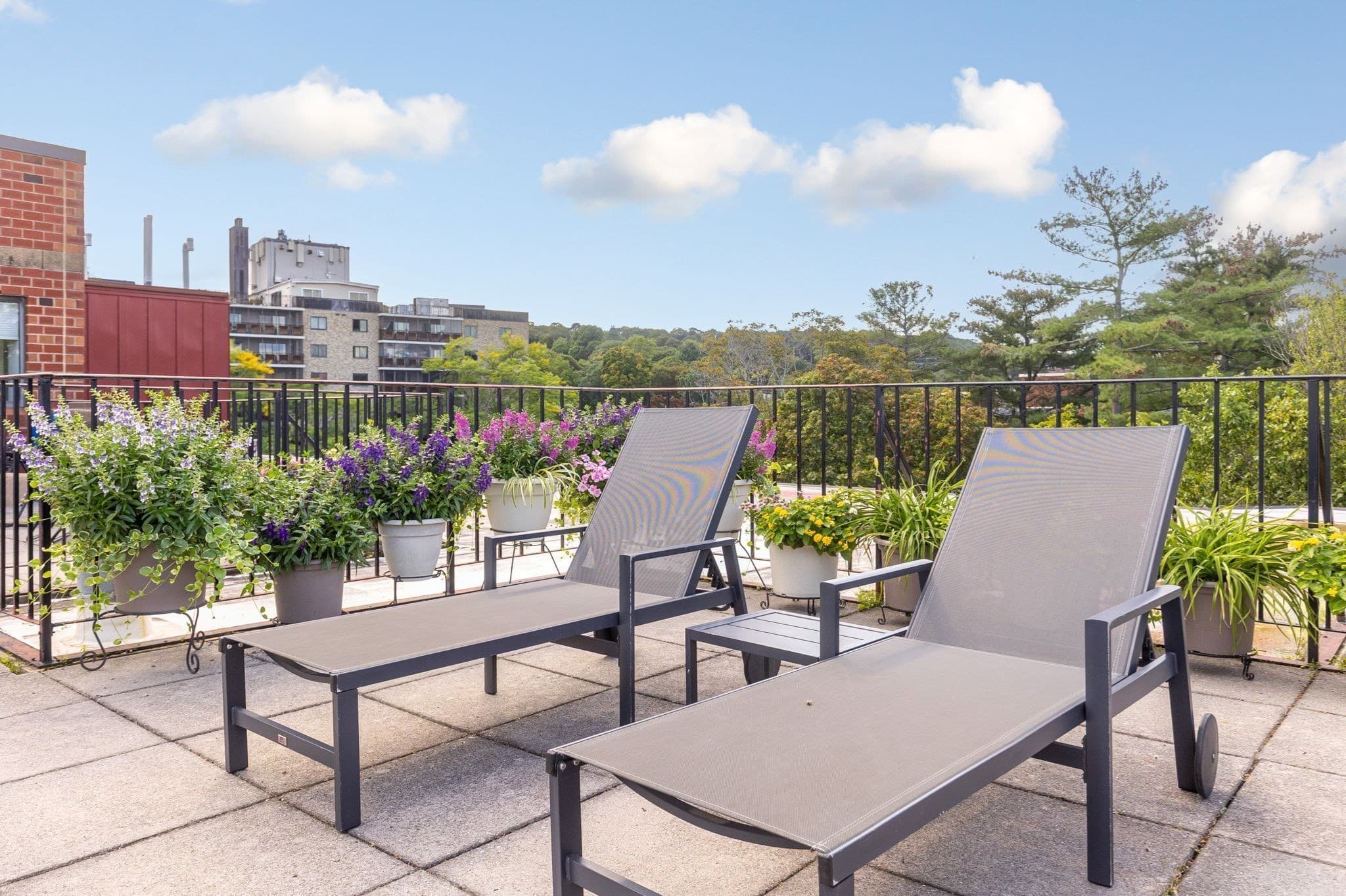 Condominium at 975 Massachusetts Avenue # 108, Arlington MA 02476, Arlington, photo 18 of 21