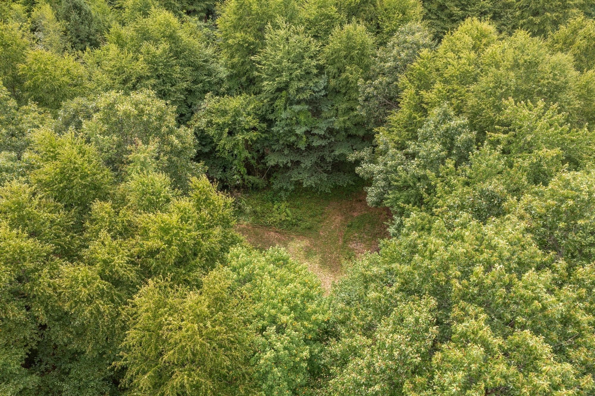 Residential at 276 Middle Rd, Boxborough MA 01719, Boxborough, photo 9 of 12