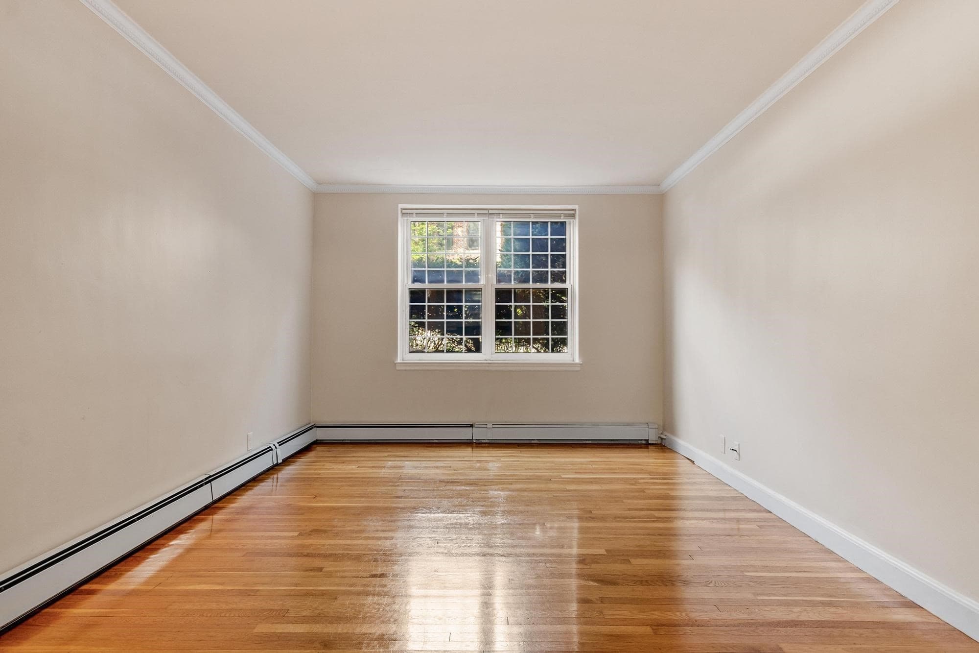 Condominium at 159 St Paul Street # 1, Brookline MA 02446, Brookline, photo 17 of 36