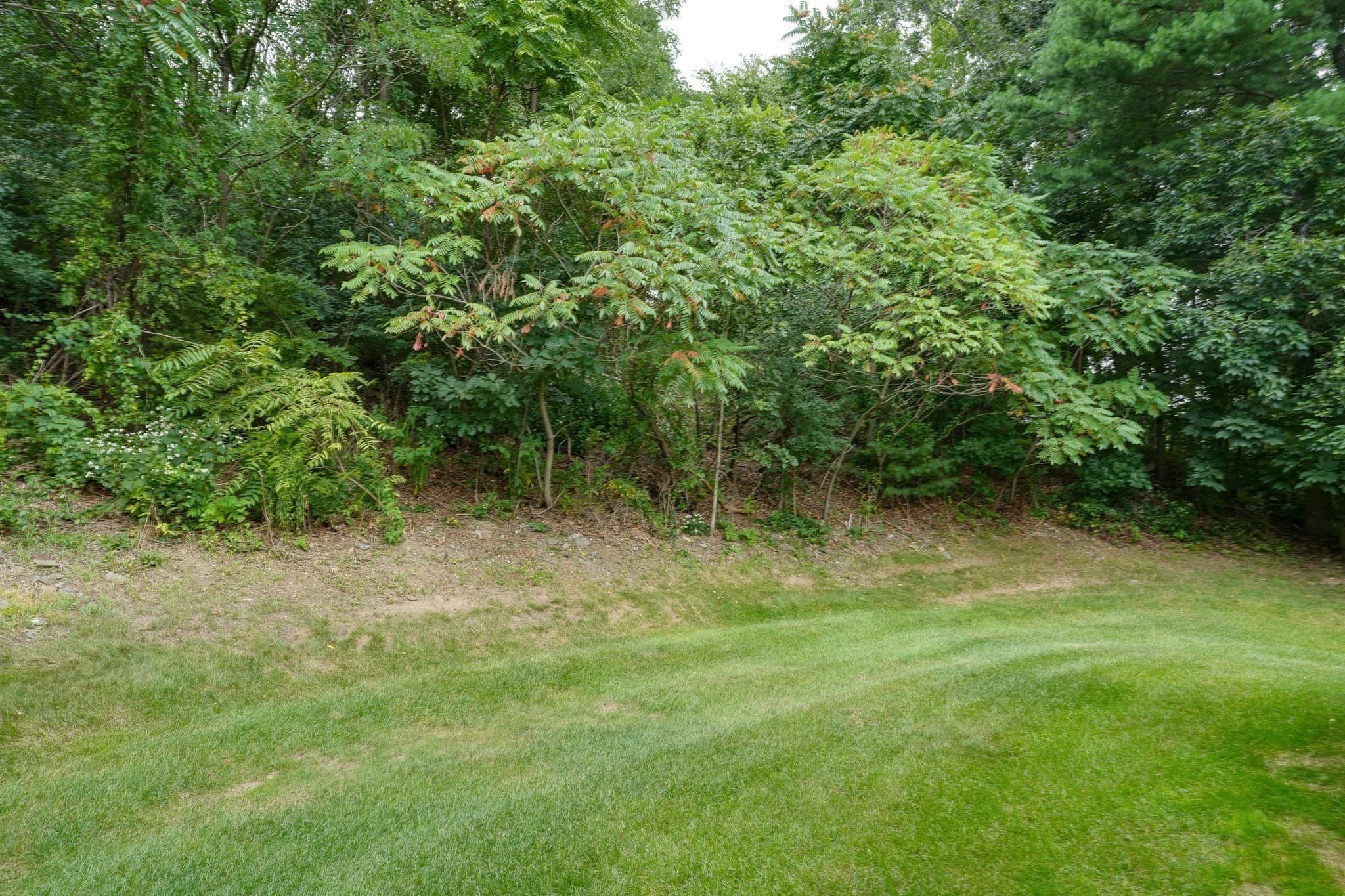 Single Family Residence at 3 Greenside Ln, Worcester MA 01609, Worcester, photo 21 of 25