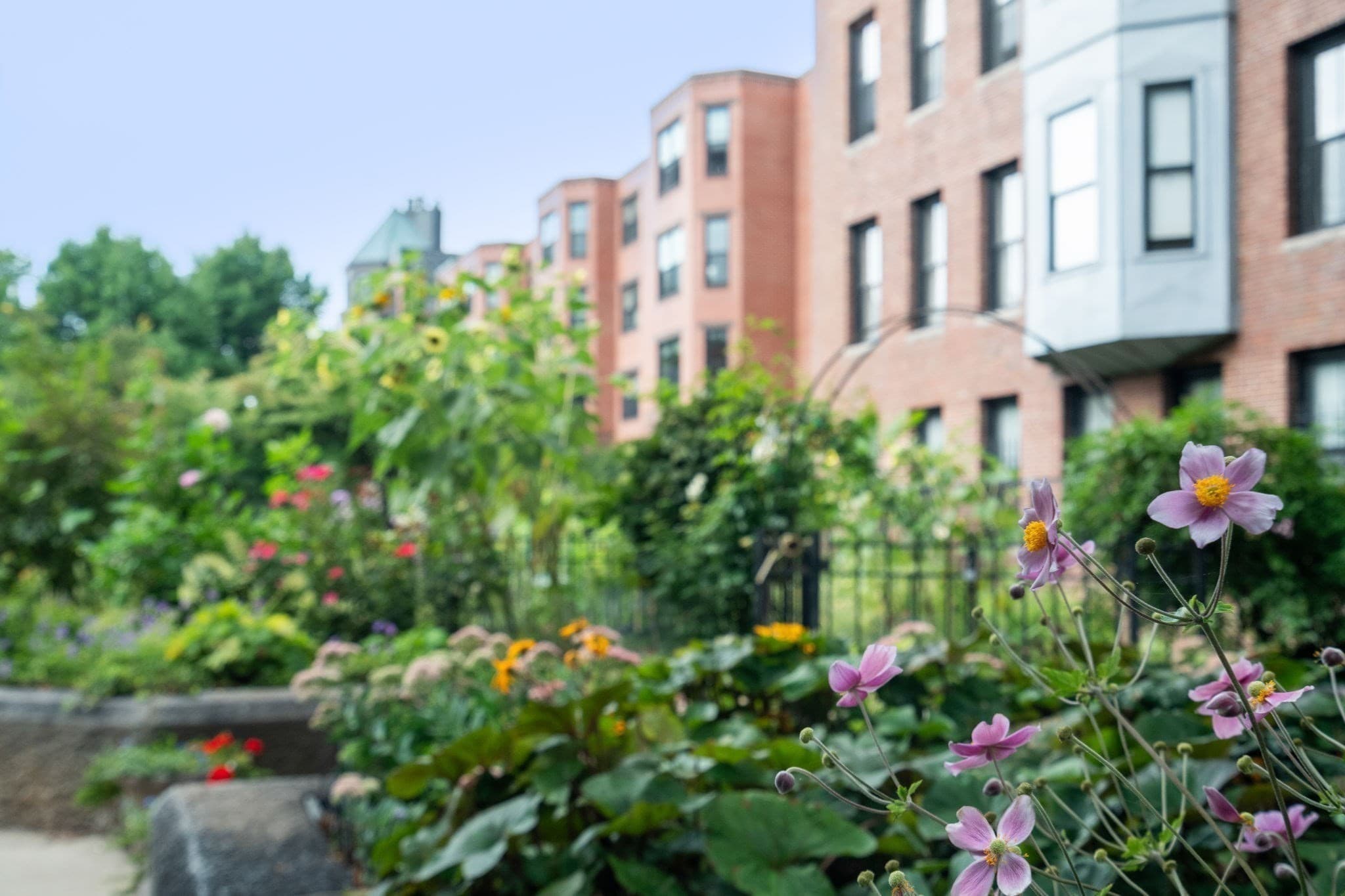 Condominium at 209 W Canton St # 3, Boston MA 02116, photo 23 of 23