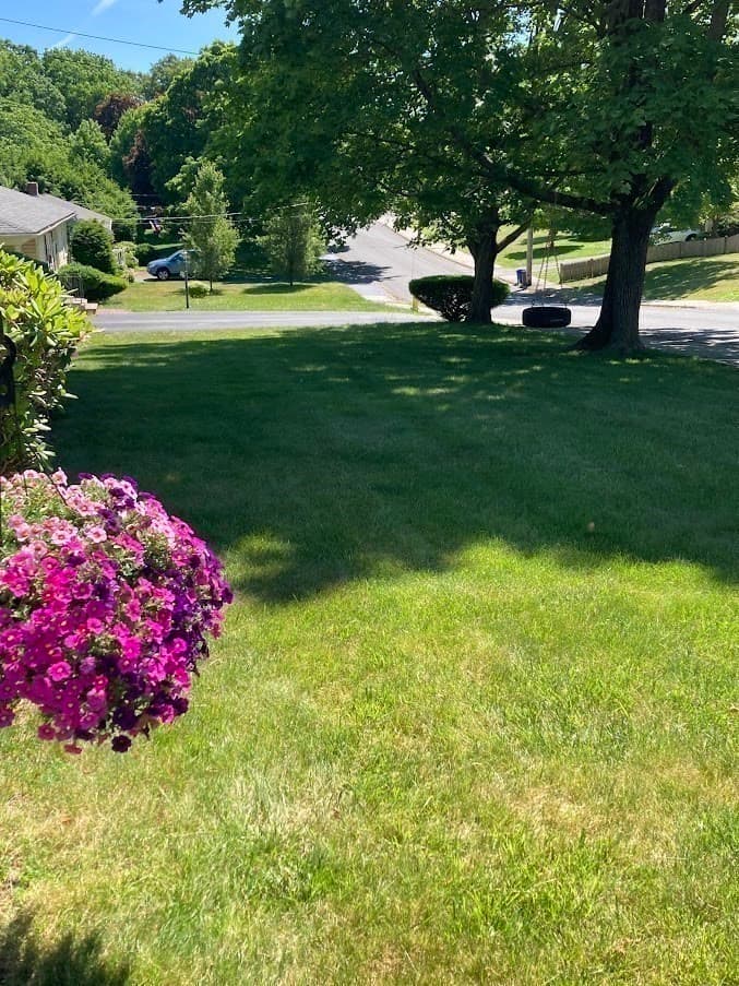 Single Family Residence at 132 Milton Rd, Braintree MA 02184, Braintree, photo 12 of 22
