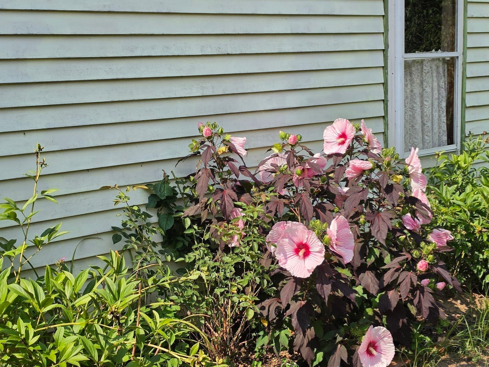 Single Family Residence at 294 Plymouth St, Middleboro MA 02346, Middleboro, photo 5 of 32