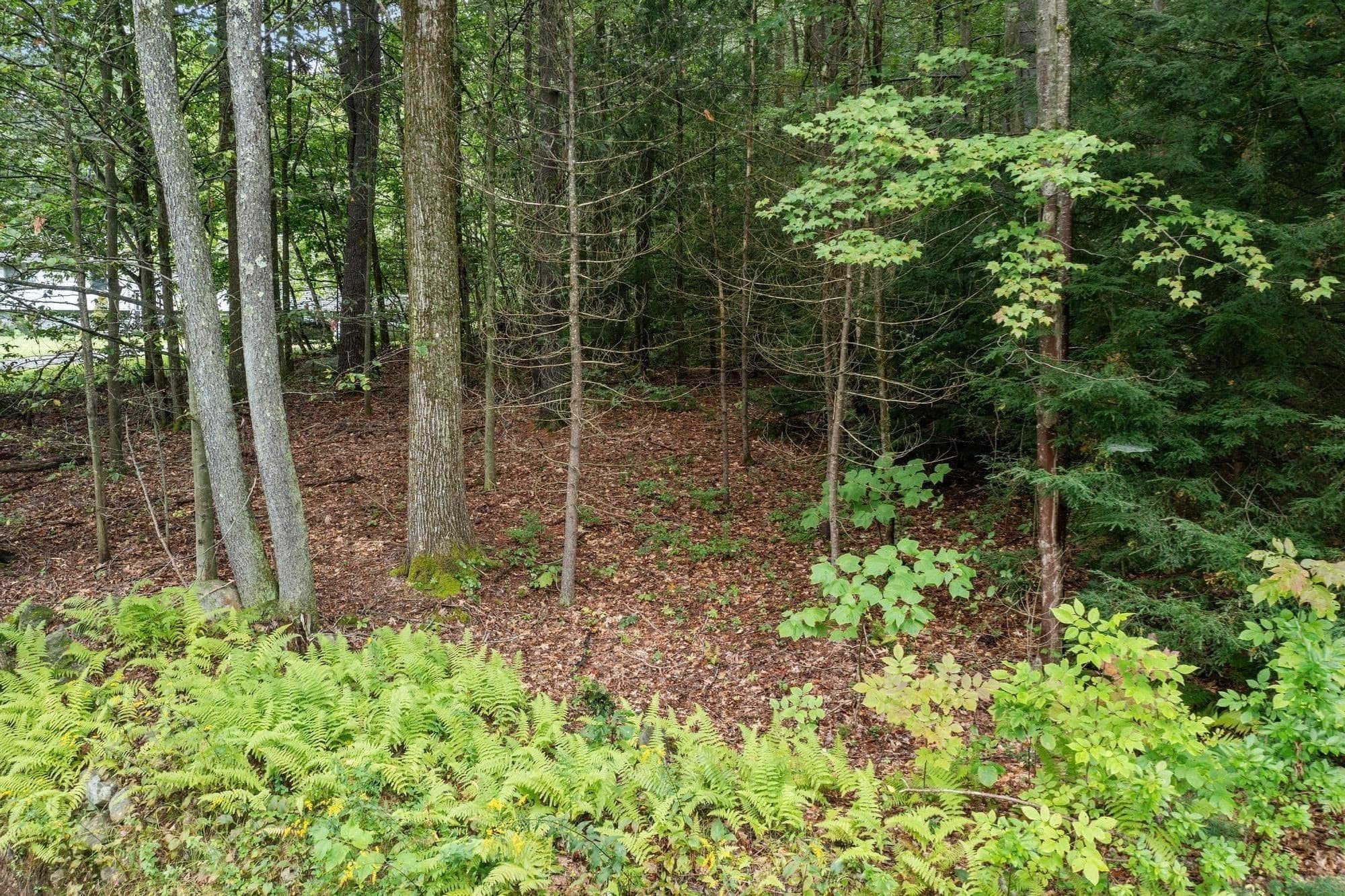 Residential at 0 Wendell Road, Shutesbury MA 01072, Shutesbury, photo 5 of 7