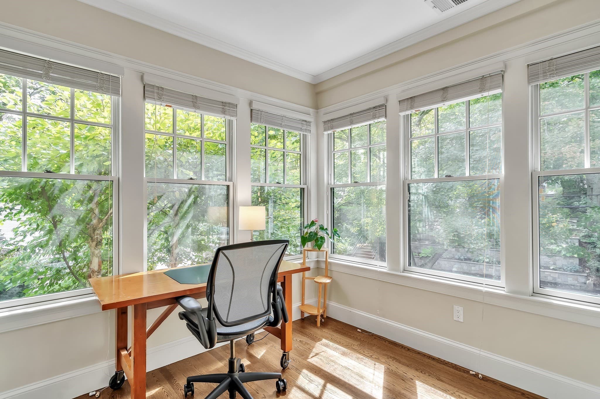 Condominium at 131 Winchester St # 131, Brookline MA 02446, Brookline, photo 9 of 23