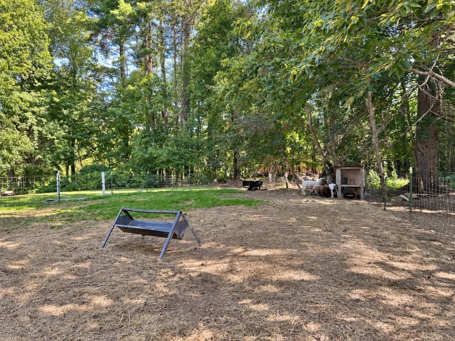 Equestrian at 5 Putnam Hill Rd, Sutton MA 01590, Sutton, photo 32 of 35